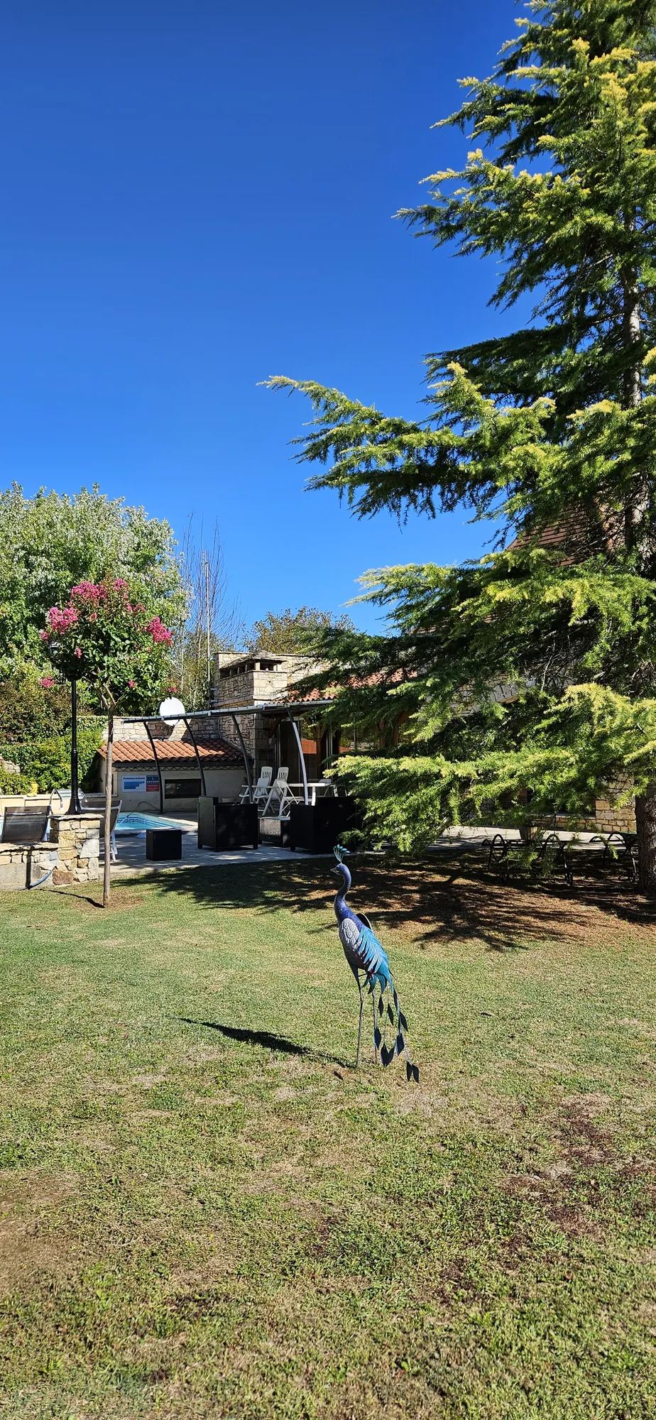 Domaine Le Magnolia en Dordogne – photo 4